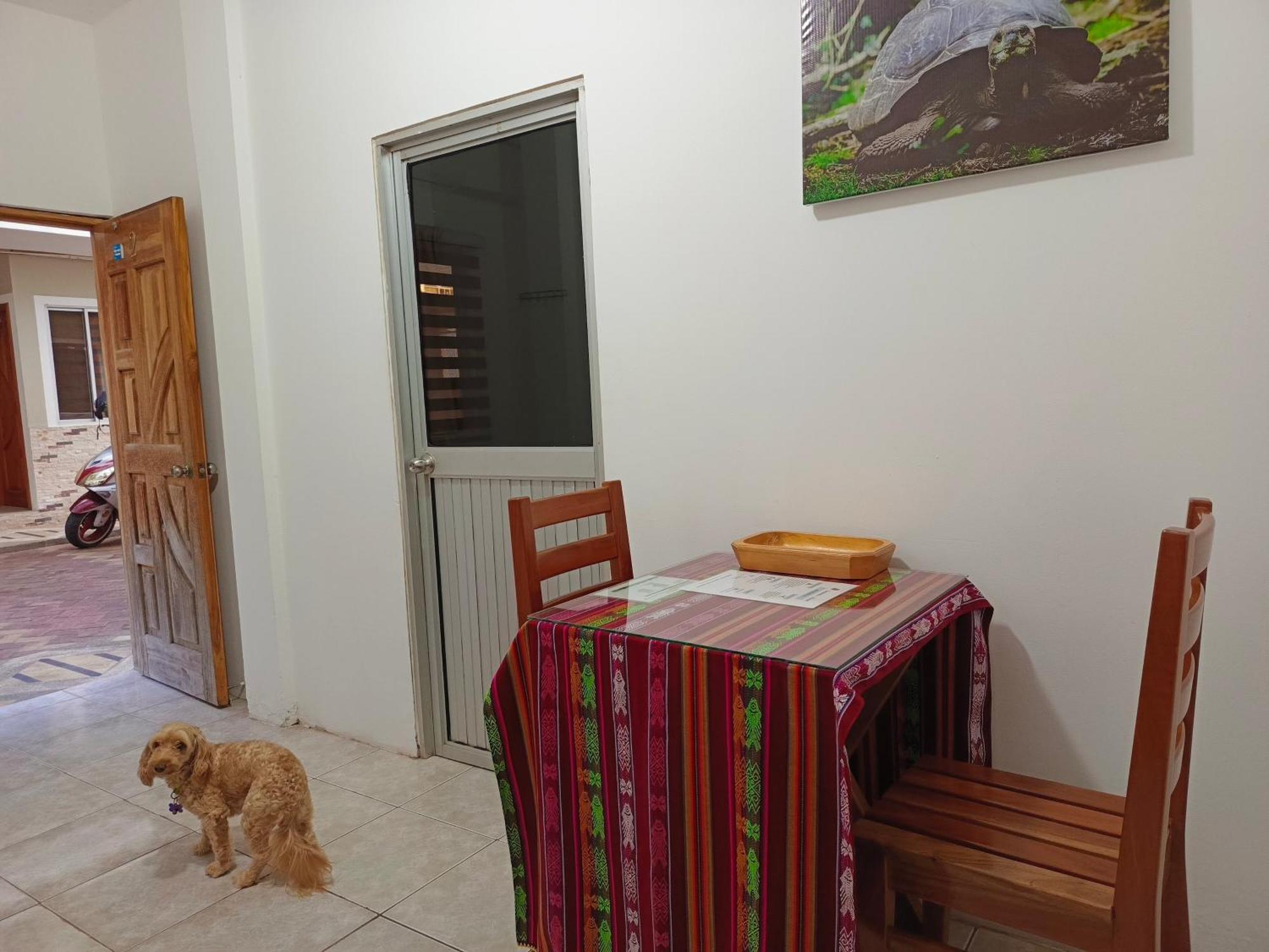 Teresita'S House Suites Con Cocina Privada Puerto Baquerizo Moreno Buitenkant foto